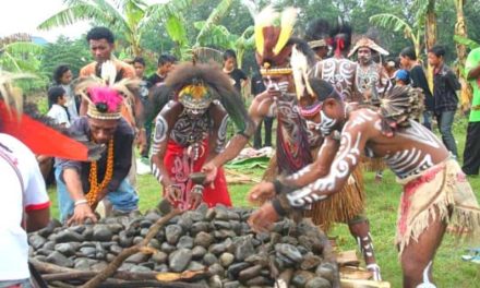 Tradisi Bakar Batu Tetap Di Lestarikan Di Indonesia