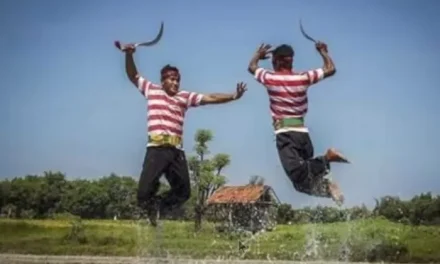 Perkelahian Carok Merupakan Sebuah Tradisi Dari Madura