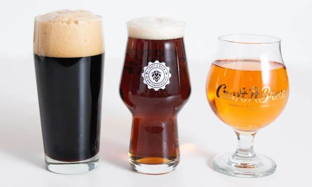 Karbonasi Dari Minuman Bir Yang Di Fermentasi