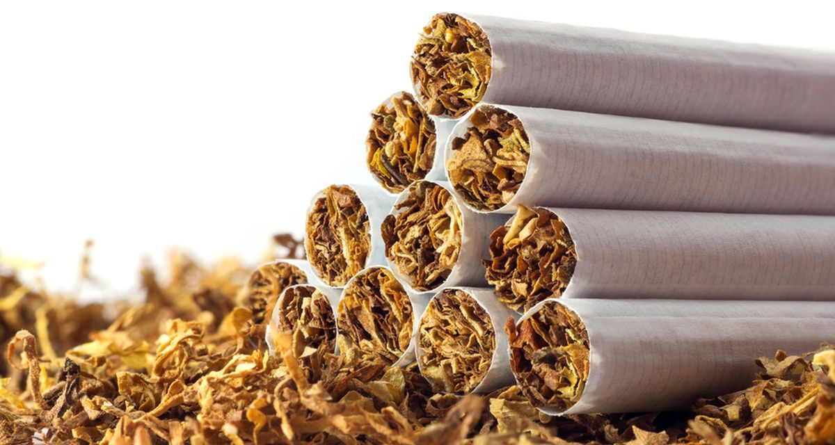 Produk Daun Tembakau Yang Di Keringkan Sebuah Rokok