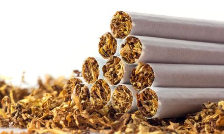 Produk Daun Tembakau Yang Di Keringkan Sebuah Rokok