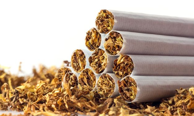 Produk Daun Tembakau Yang Di Keringkan Sebuah Rokok