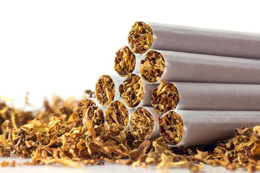 Produk Daun Tembakau Yang Di Keringkan Sebuah Rokok