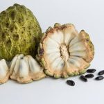 Pengolahan Srikaya Sebuah Tanaman Buah Tropis