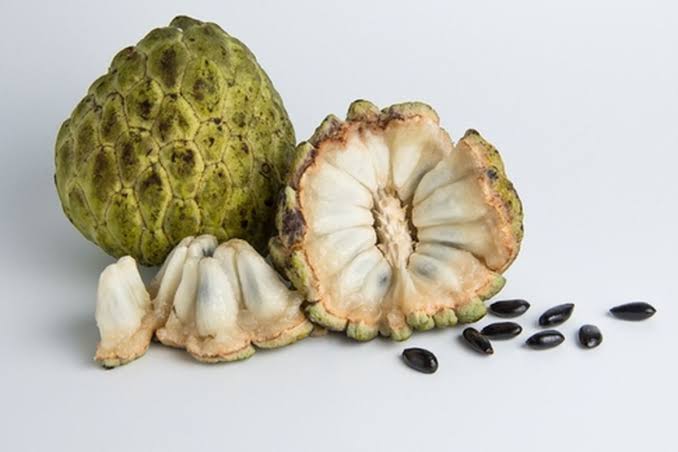 Pengolahan Srikaya Sebuah Tanaman Buah Tropis