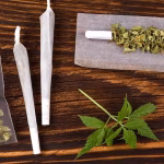 Tumbuhan Genus Cannabis Atau Sebuah Ganja