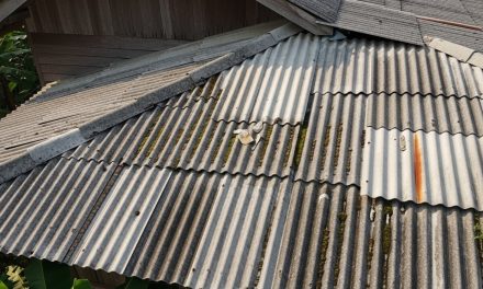 Bahan Utama Asbes Dari Mineral Alami