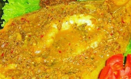 Hidangan Khas Naniura Dengan Berbagai Bahan Dasar