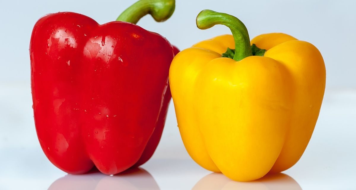 Tanaman Buah Paprika Dengan Berbagai Warna