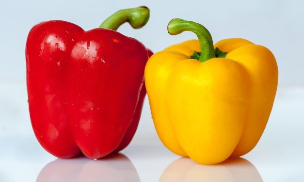 Tanaman Buah Paprika Dengan Berbagai Warna