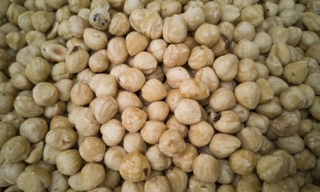 Bahan Rempah Tanaman Biji Kemiri Untuk Masakan